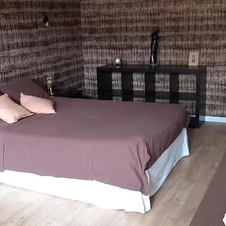 La Cigale Et La Fourmi Homestay Nimes