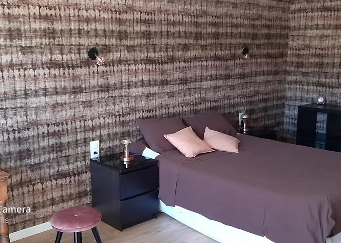 La Cigale Et La Fourmi Nîmes