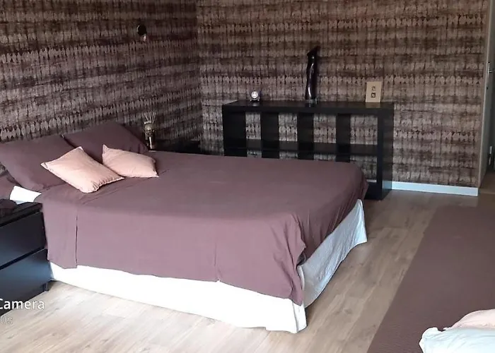 La Cigale Et La Fourmi Accommodatie bij particulieren Nîmes