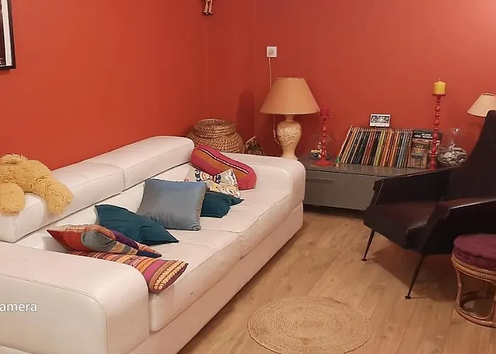 בית אירוח La Cigale Et La Fourmi נים