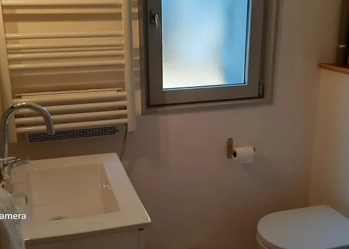 La Cigale Et La Fourmi * Nîmes